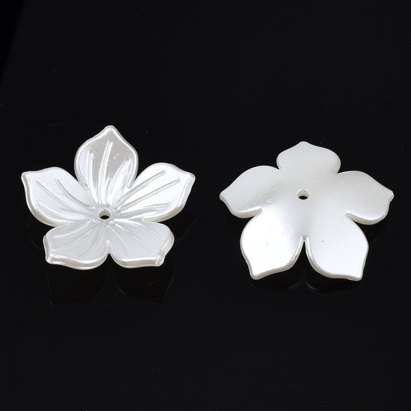 Flores de color blanco crema con 5 pétalos y relieve.