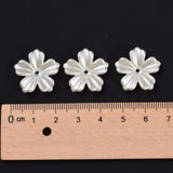 Plastic ABS Pearly Ivory flowers with 5-petals