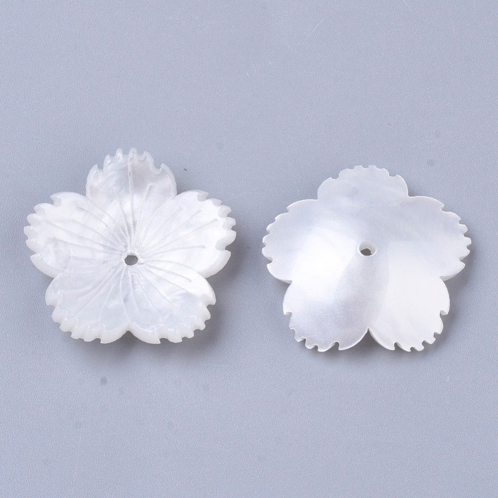 High quality plum blossom with 5-petals