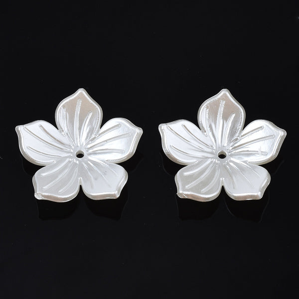 Flores de color blanco crema con 5 pétalos y relieve.
