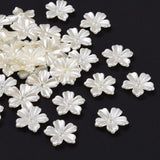 Plastic ABS Pearly Ivory flowers with 5-petals