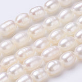 Perla natural por hebras 35 cm