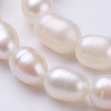 Perla natural por hebras 35 cm